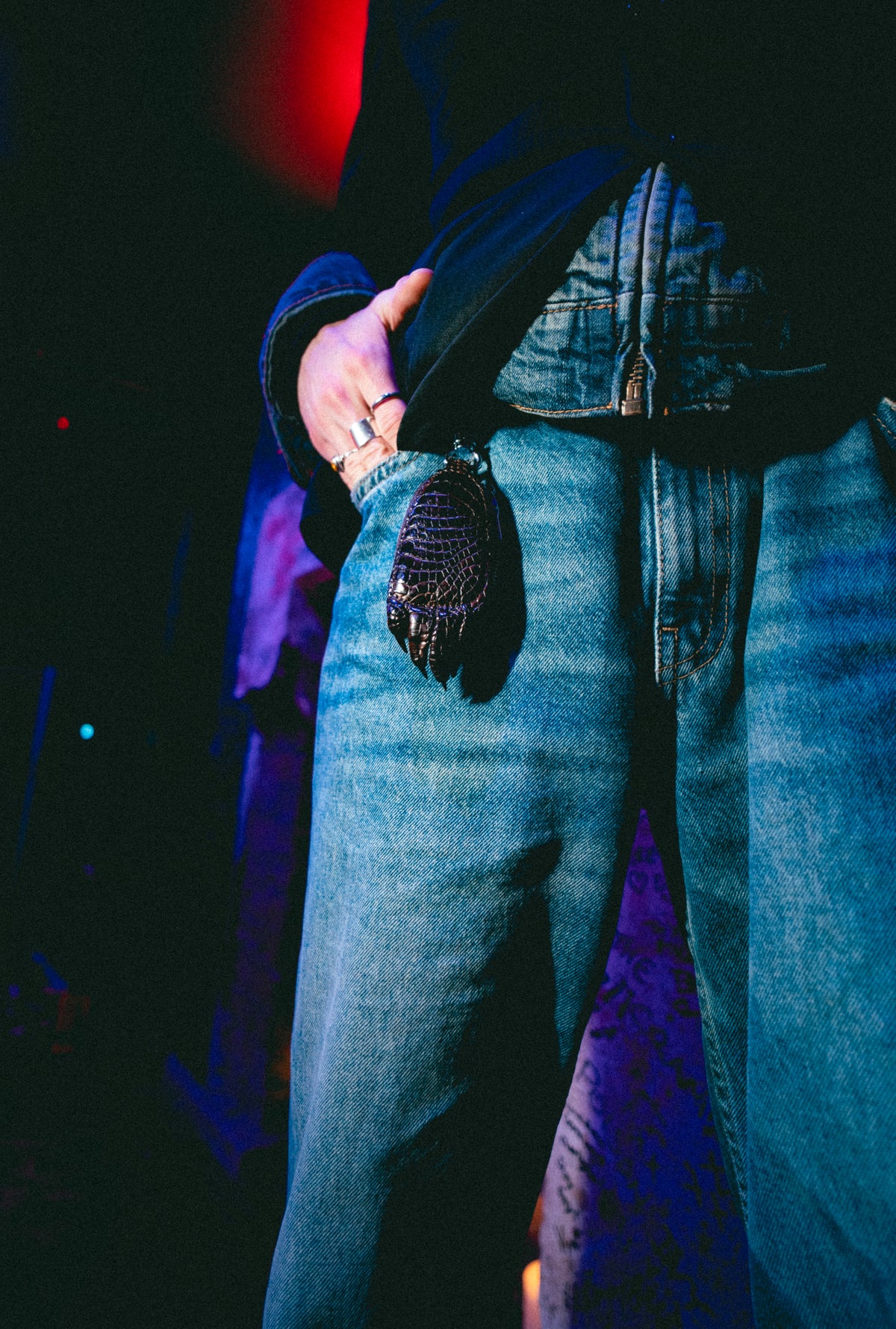 The Brown Clawcase